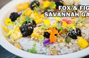 Fox Fig Savannah GA Channel