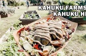Kahuku Farms Kahuku HI Channel